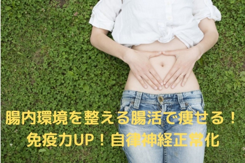 腸内環境を整える腸活で痩せる！免疫力UP！自律神経正常化